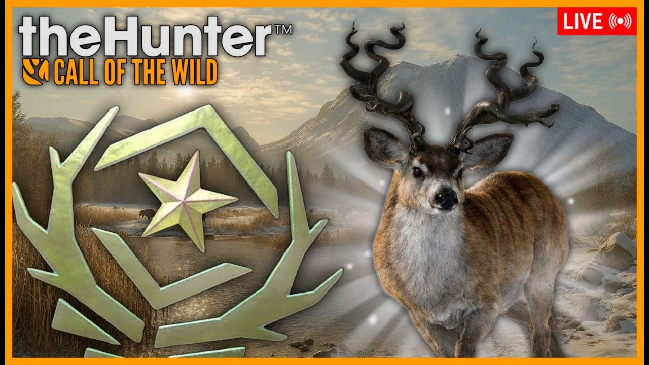 🔴🇪🇸🔴🦌¡Estamos de vuelta! GRINDEO DE CIERVO MULO-THE HUNTER CALL OF THE WILD🌲