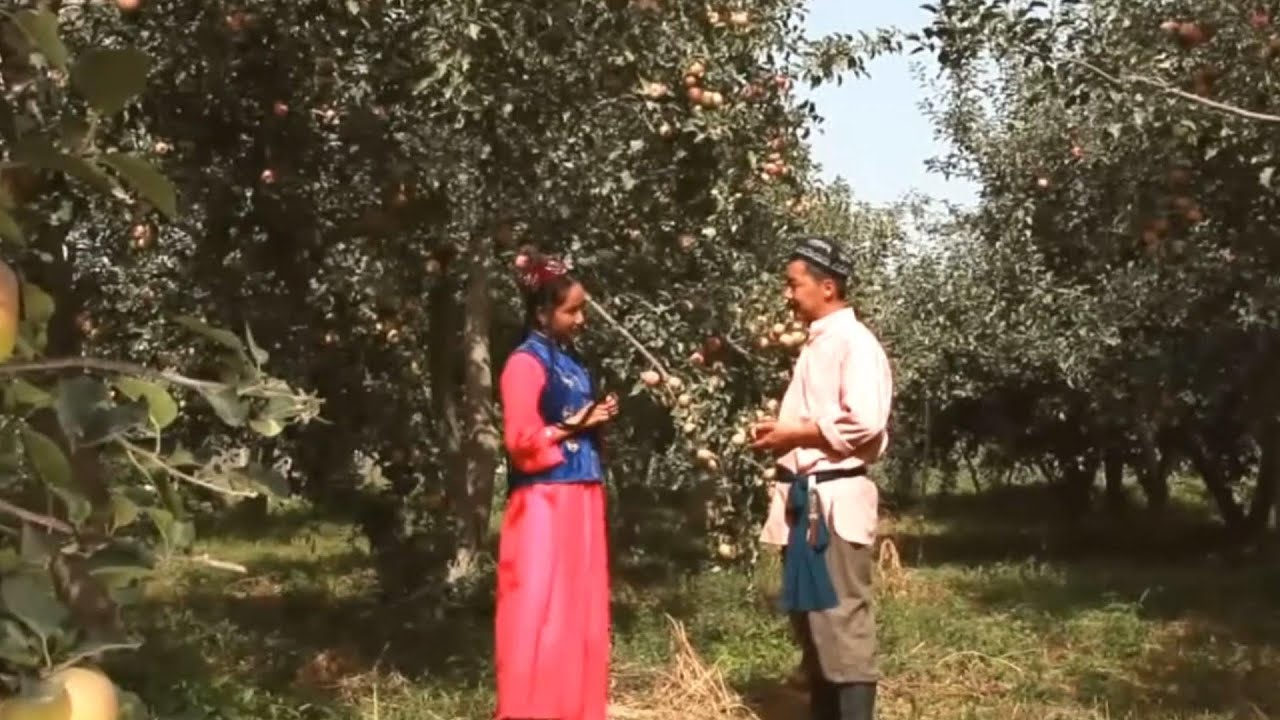 Uyghur xelq naxshisi  #uyghur #uyghurfolksong #uyghurnaxsha #uyghurmusic #mv #song