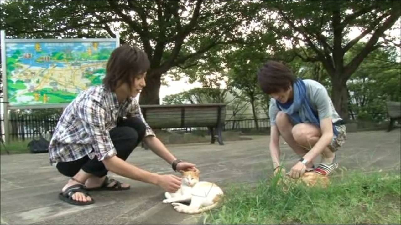 someya and hiroki Journey Around the World of Margarita with cat