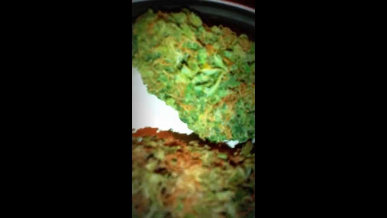 Medical Blue Dream x Homegrown Marijuana