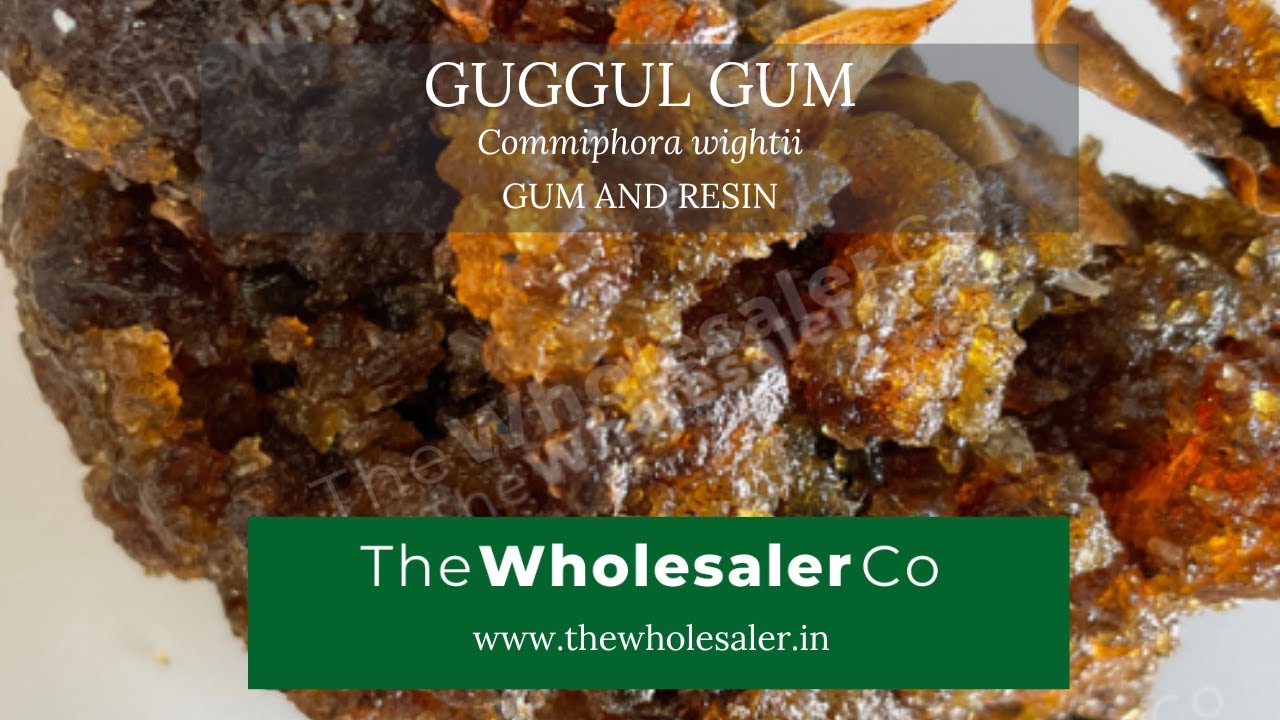 Guggul Gum - Commiphora wightii - TheWholesalerCo