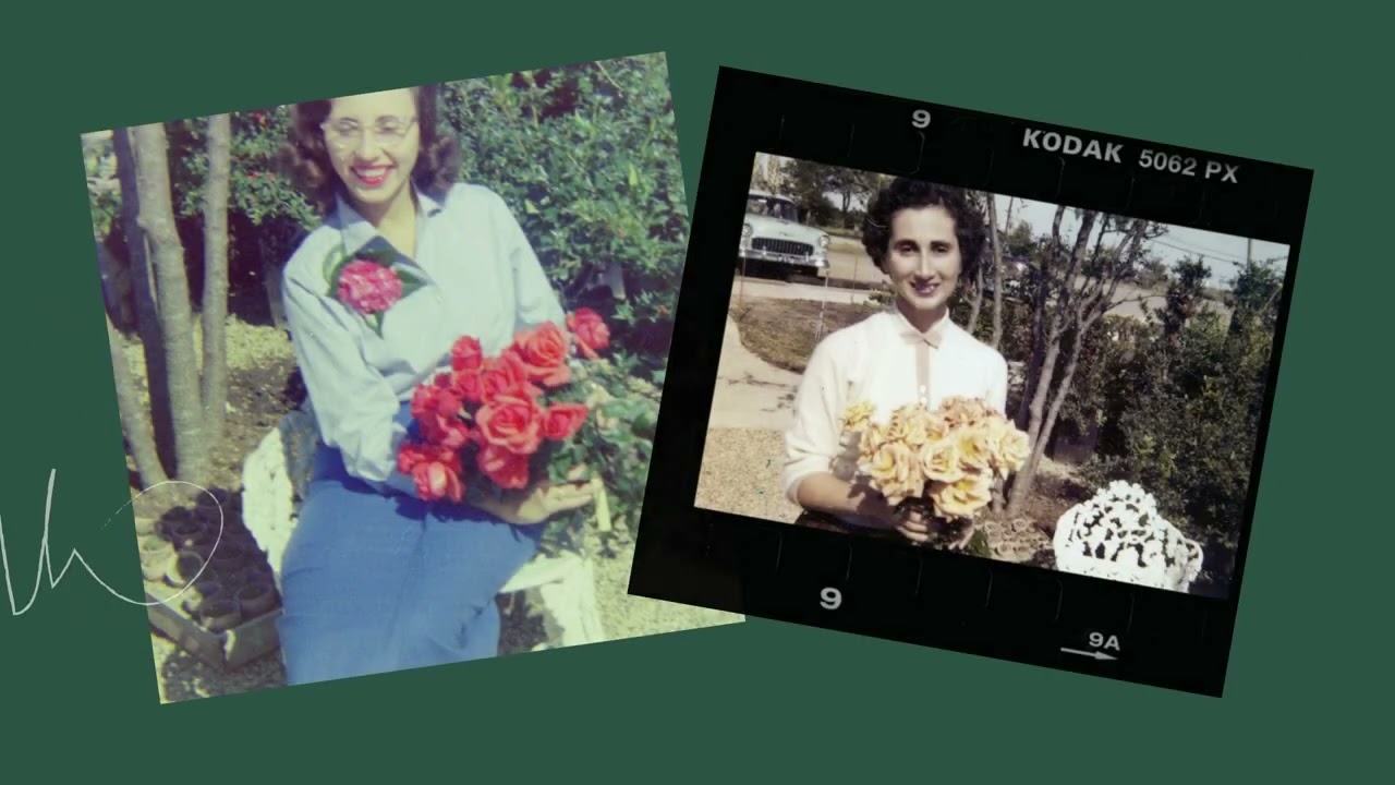 Celebrate Rose Weekend: Discover 130+ Rose Varieties at North Haven Gardens!