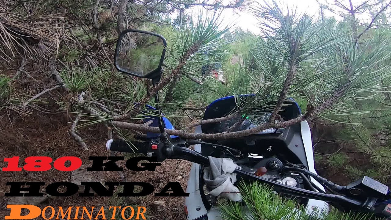 Hard Enduro     Honda Nx650 Dominator