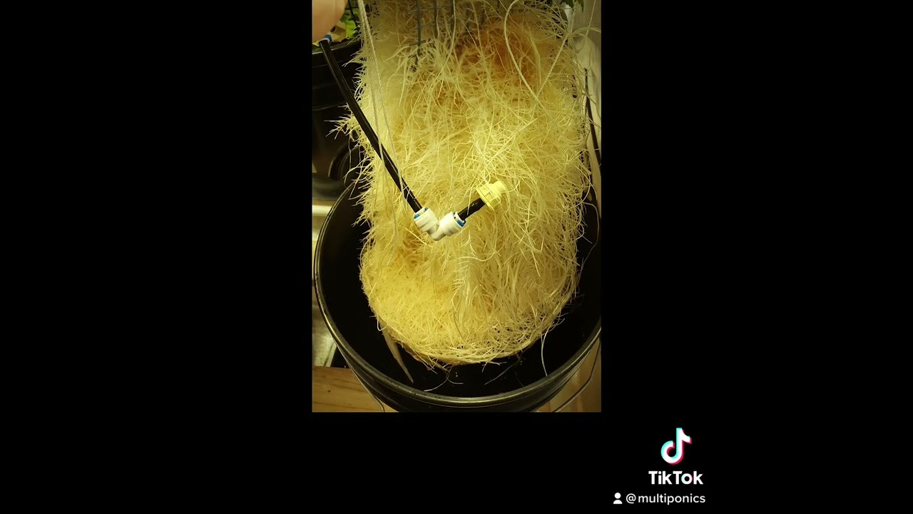High Pressure Aeroponics | True Aeroponics by Multiponics