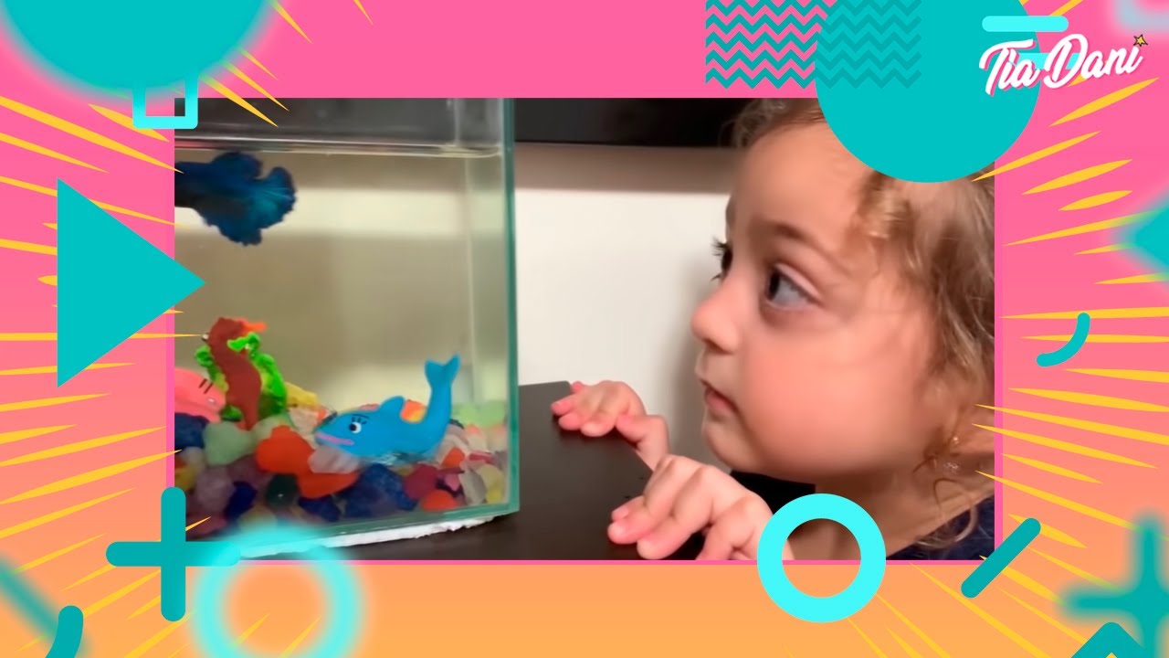 Os peixinhos fizeram uma briga