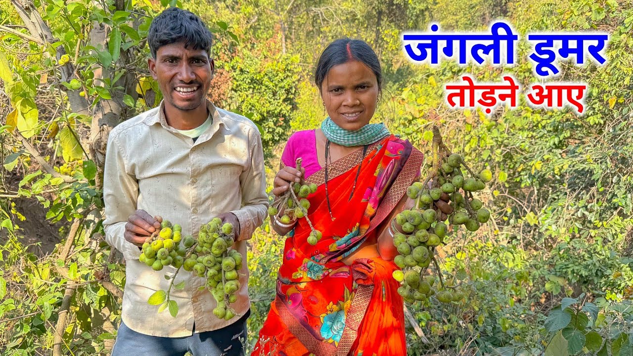 जंगली डूमर तोड़ने आए | इतनी गर्मी में हालत खराब हो गई | Jharkhandi Traditional Sabji