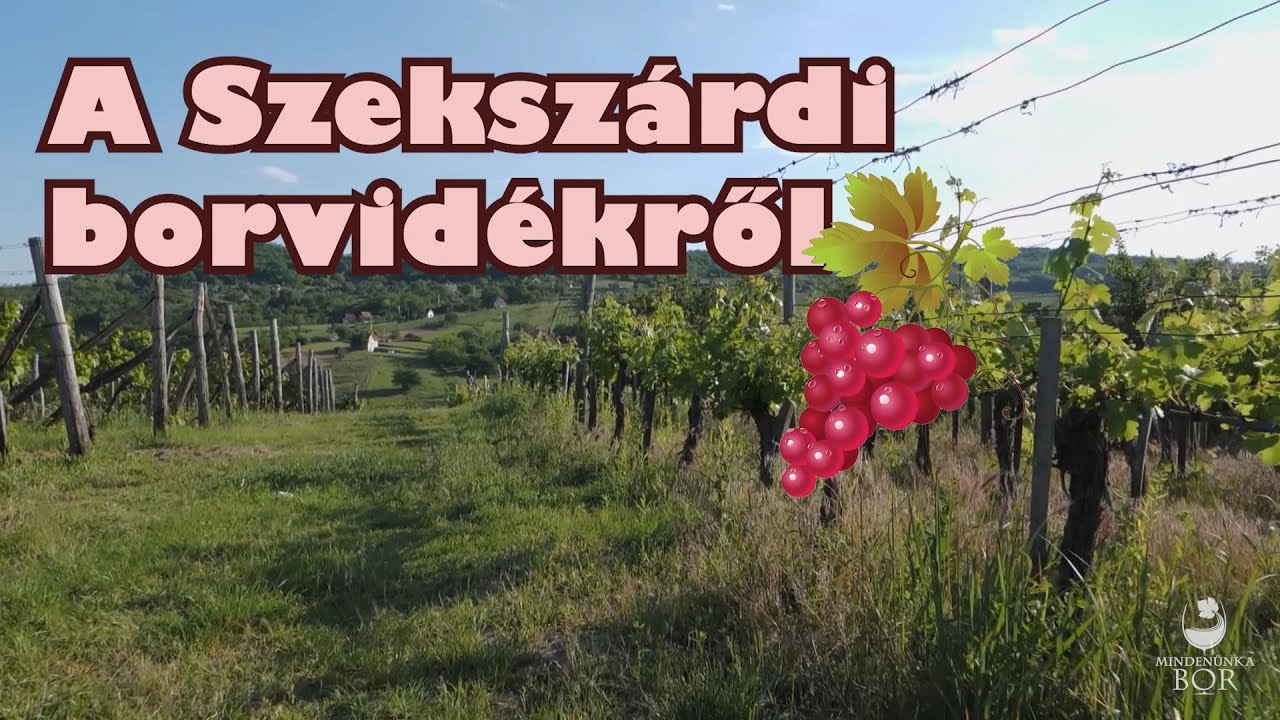 Ezen a vidéken már az ókorban is borászattal foglalkoztak!