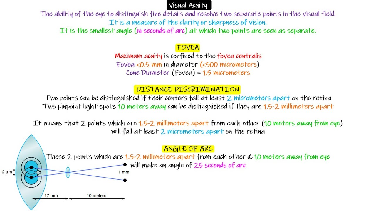 Visual Acuity. Chapter 50 part 5. Guyton and Hall Physiology.