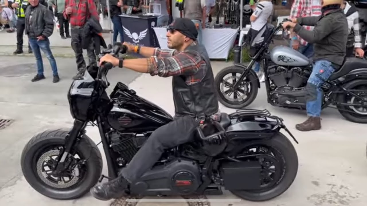 Harley, Best of 2024 and 2025 #harley #custom