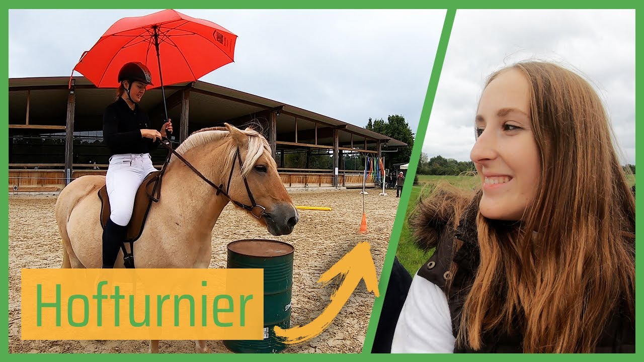 🐴 Prüfung an unserem Stall 😯 // Blondis auf Fjordis