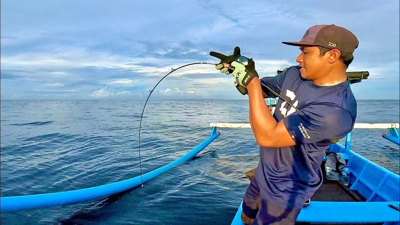 AMBERJACK SUPER BABON !!!