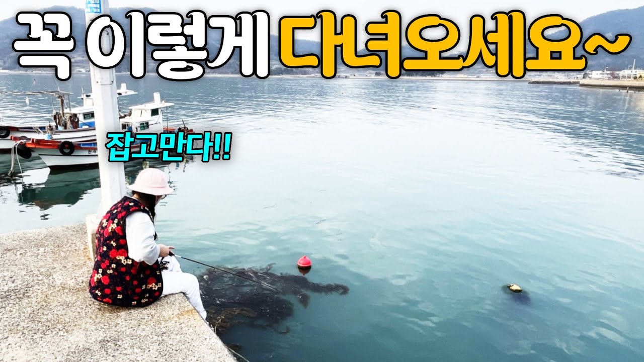 무조건 잡아서 먹는 가족낚시단의 살벌한 남해여행코스