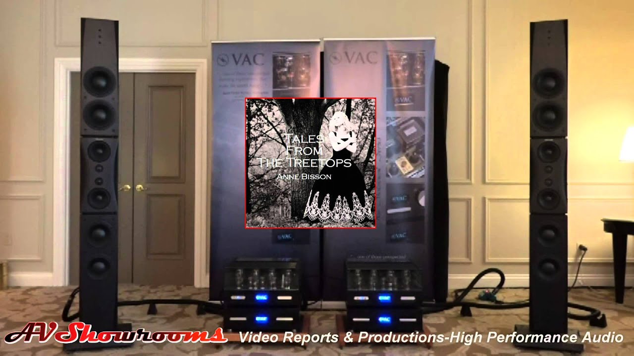 VAC, Valve Amplification Company, Kevin Hayes, with Dynaudio, Brinkmann, dCS, Shunyata, CES
