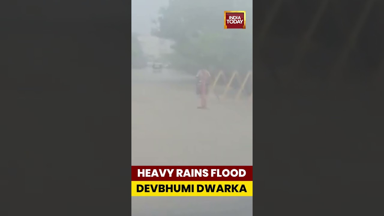 Heavy Rain Triggers Waterlogging in Devbhumi Dwarka | #gujarat #devbhumidwarka #rain