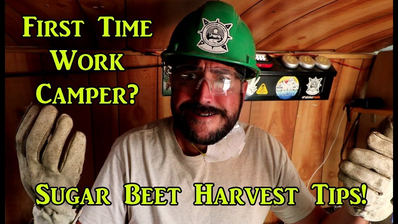 Tips for Sugar Beet Harvest Work Camping Job! VanLife On the Road