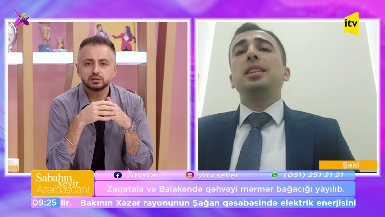 Zaqatala və Balakəndə qəhvəyi mərmər bağacığı yayılıb - CANLI BAĞLANTI