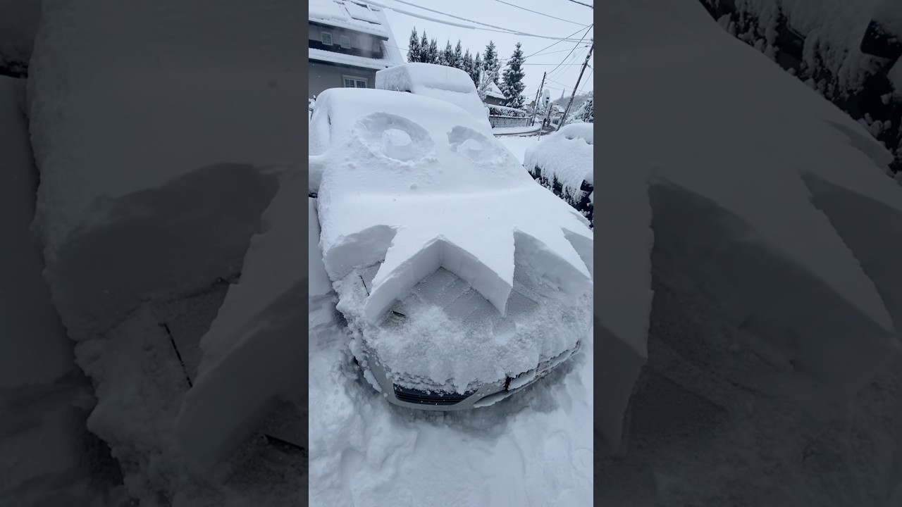 After the Blizzard #blizzard #fyp #2026 #video #snow
