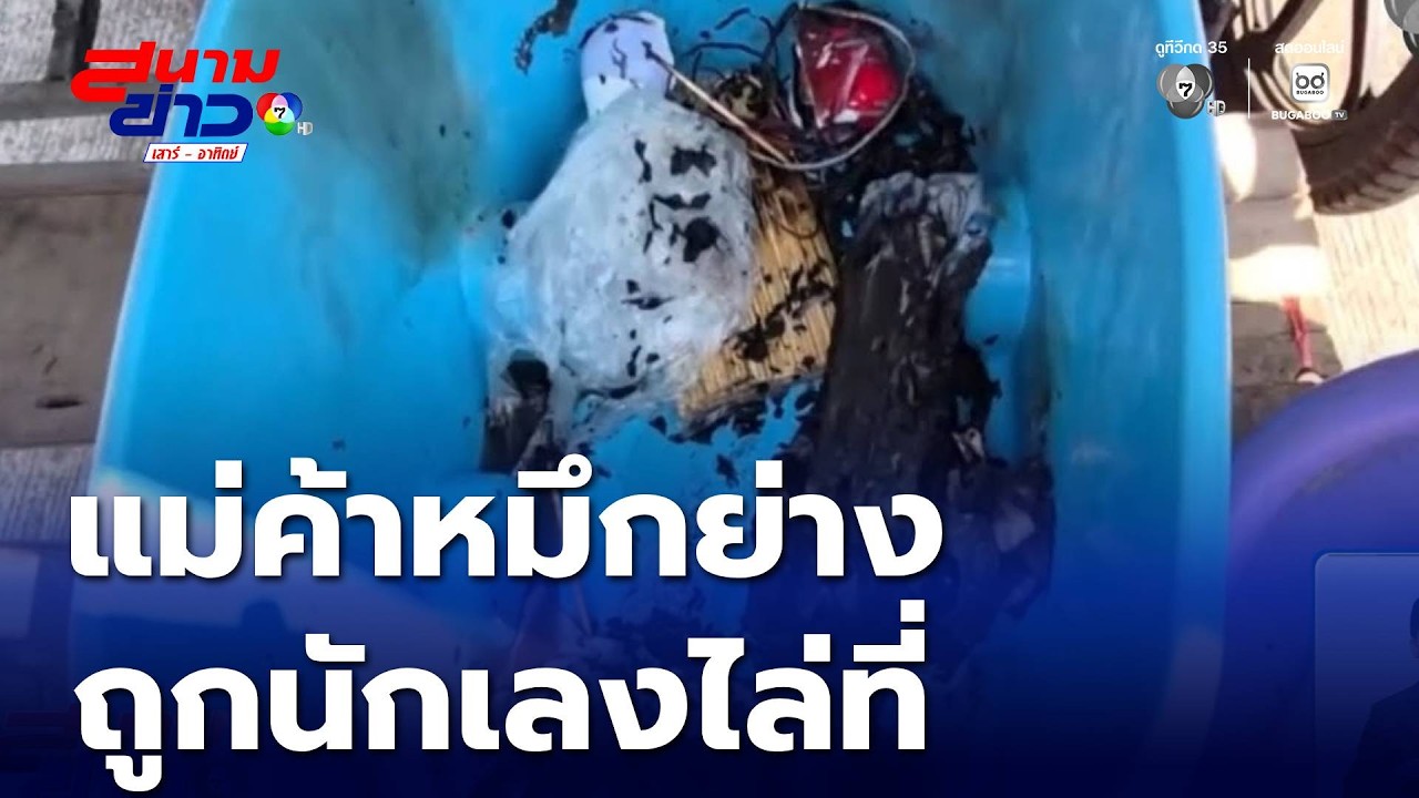 แม่ค้าหมึกย่าง น้ำตาตก ถูกนักเลงไล่ที่ จ.อุดรธานี | สนามข่าวเสาร์-อาทิตย์