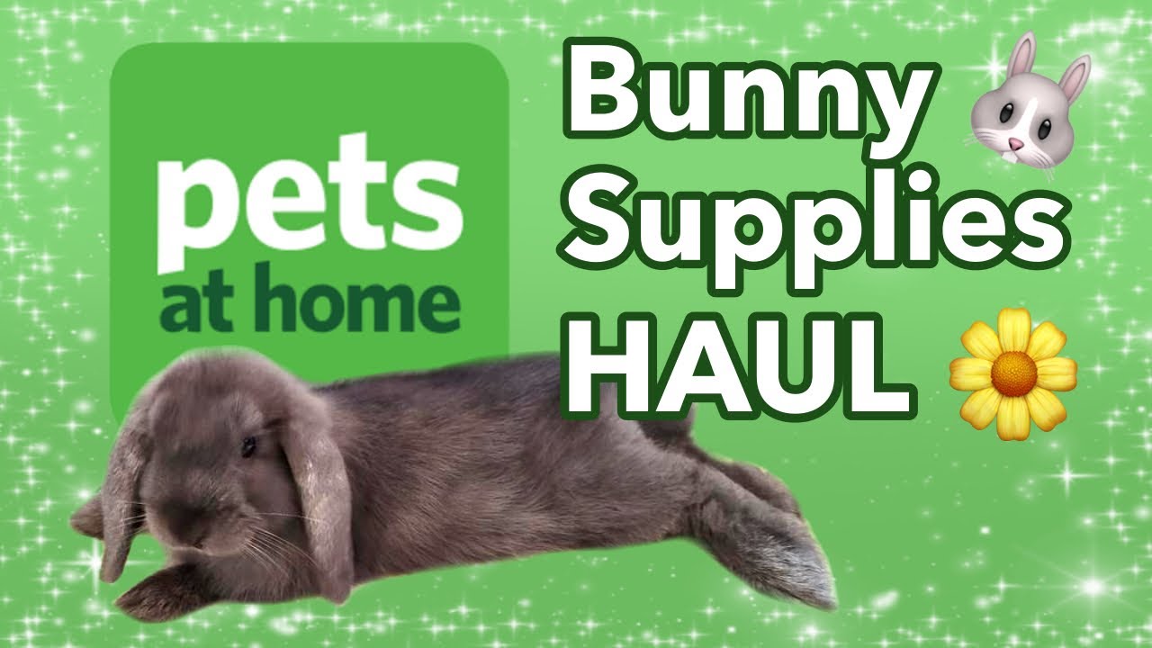 Bunny Supplies HAUL! Pets at home Haul