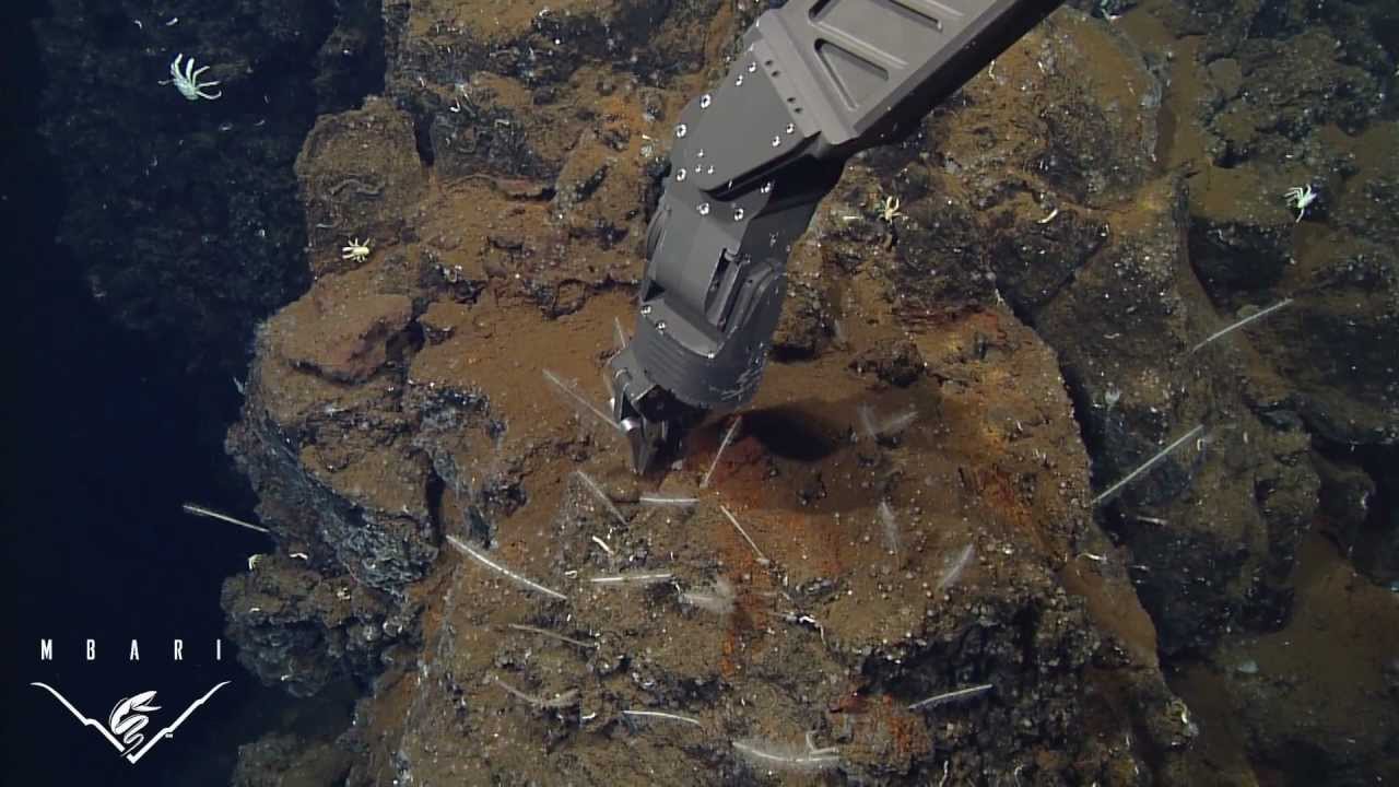High-tech robots reveal details of the deep