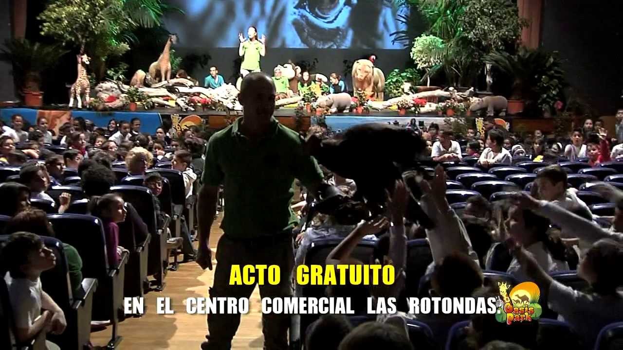 Gran actuación pedagógica 