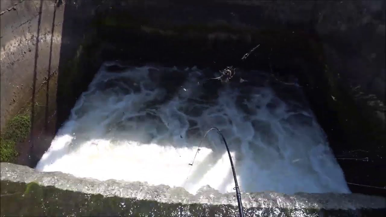 Pesca estrema finita male