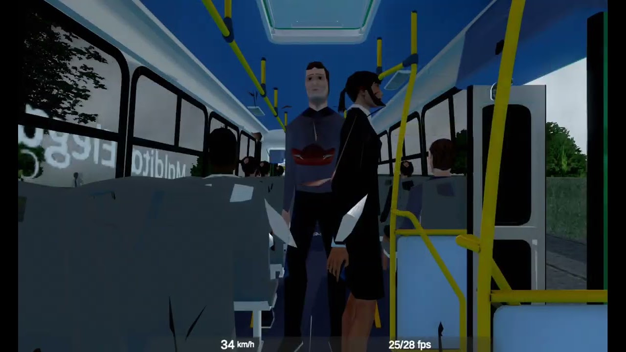 viajando 