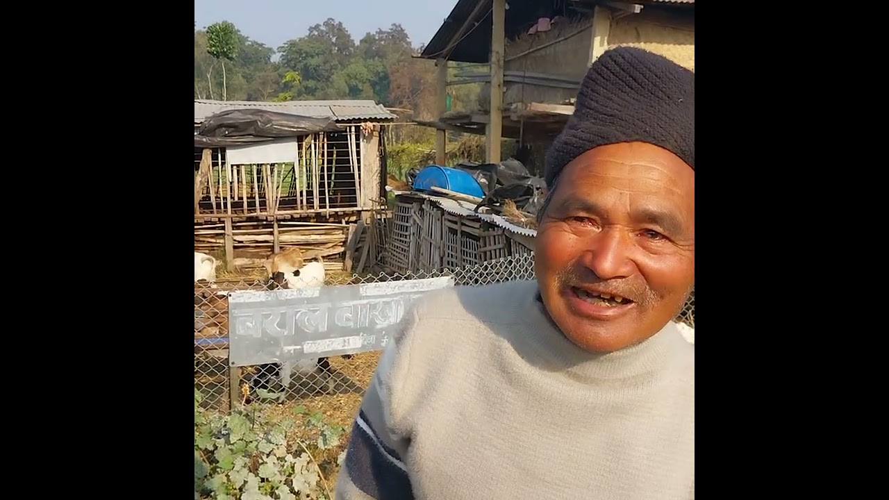 छोरालाई स्वदेशमै बिदेशभन्दा राम्रो आम्दानी गर्न सकिन्छ भनेर बाख्राअंशबन्डाका गरिदिने बुवाको कथा।।
