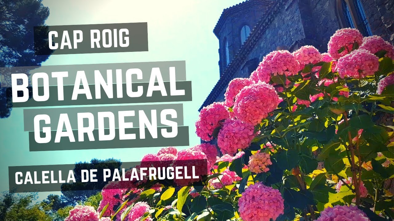 🌵 JARDIN BOTÁNICO DE CAP ROIG 🌿 | CALELLA DE PALAFRUGELL