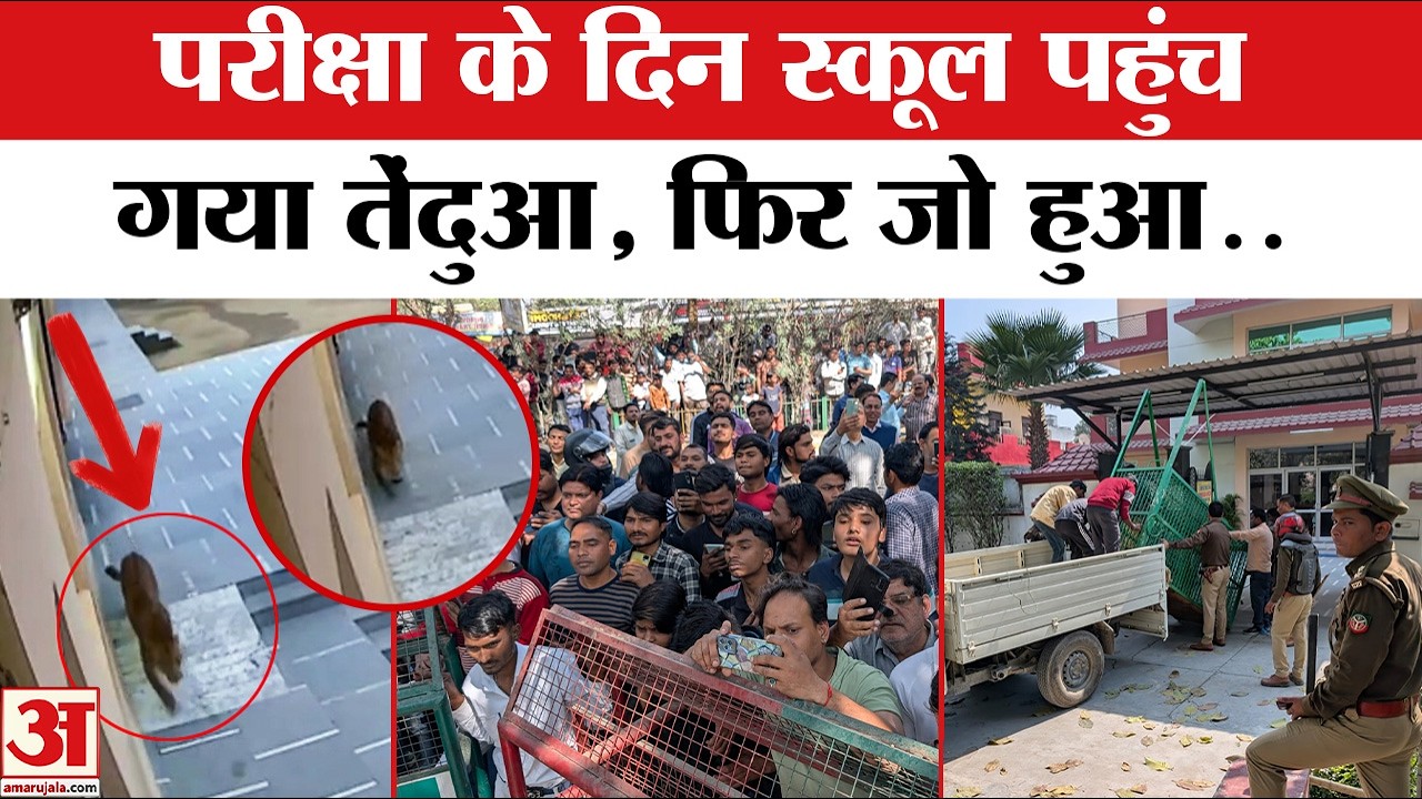 Leopard in Ghaziabad School: गाजियाबाद में स्कूल की क्लास में तेंदुआ! UP Latest News । Uttar Pradesh