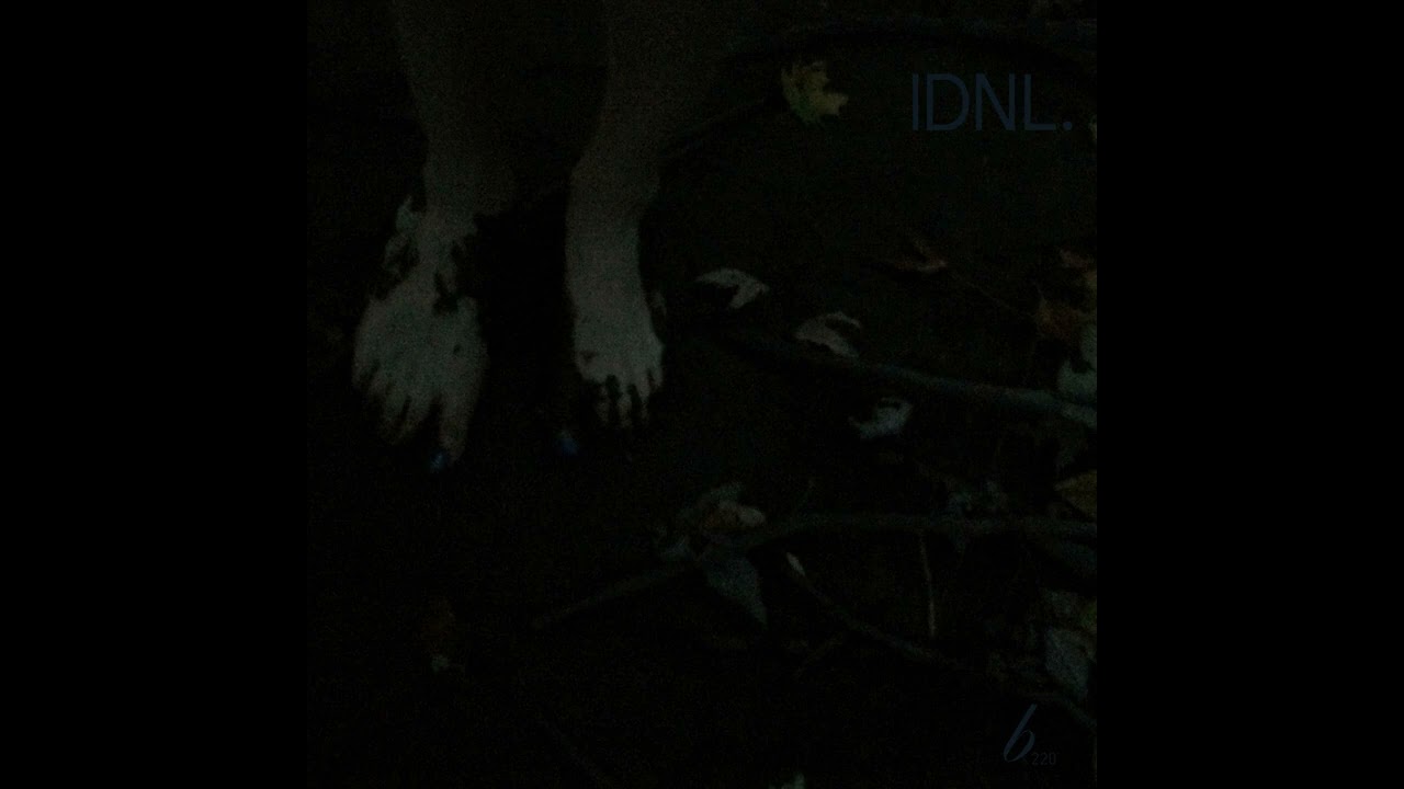 I DO NOT LOVE. - Promises and Crosses [FULL ALBUM]