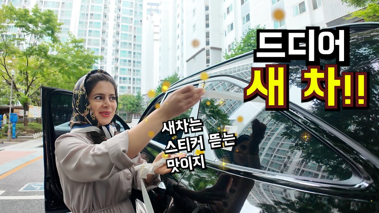 귀화 허가 신청 결과 브리핑 & 드디어  왔다! 새 차 언박싱