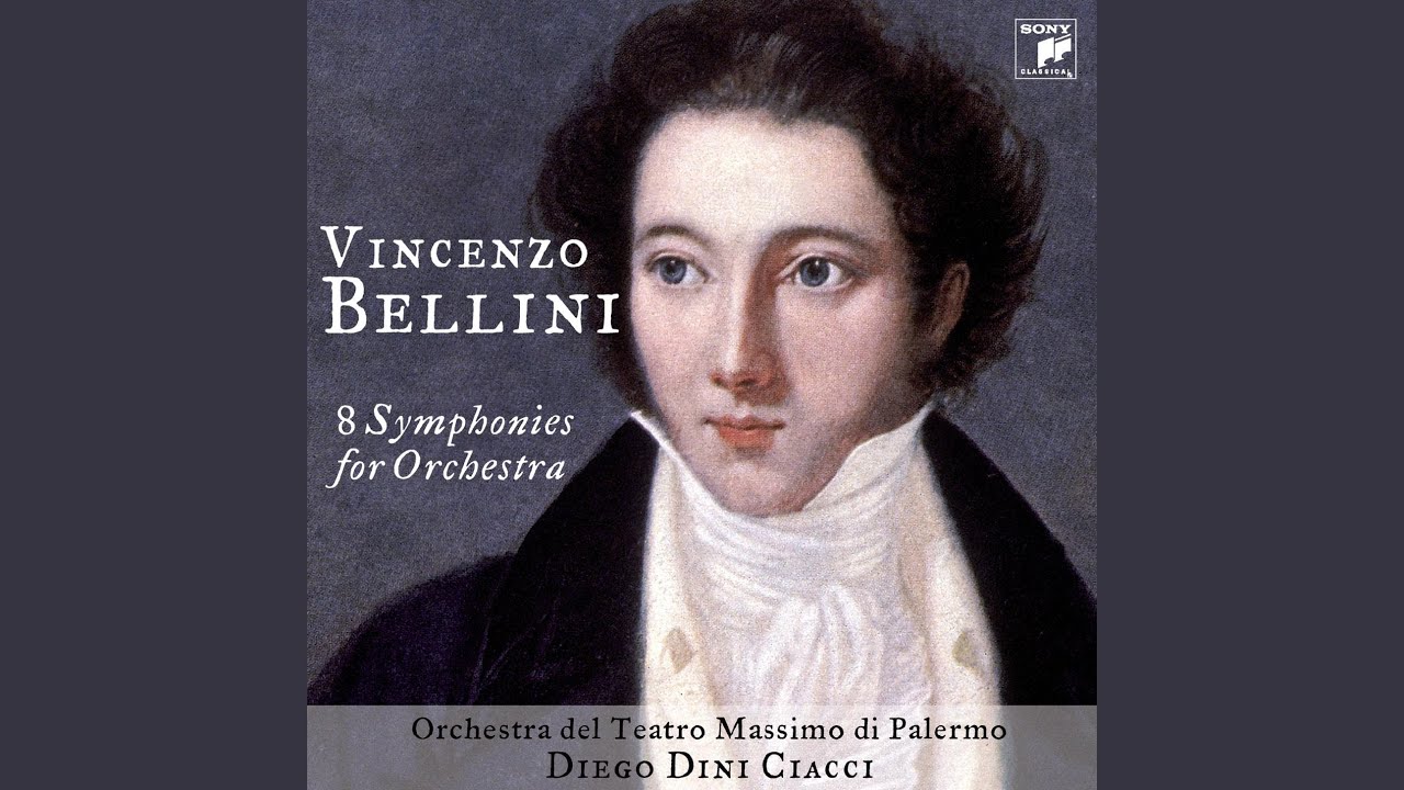 Sinfonia in re minore: Allegro con spirito
