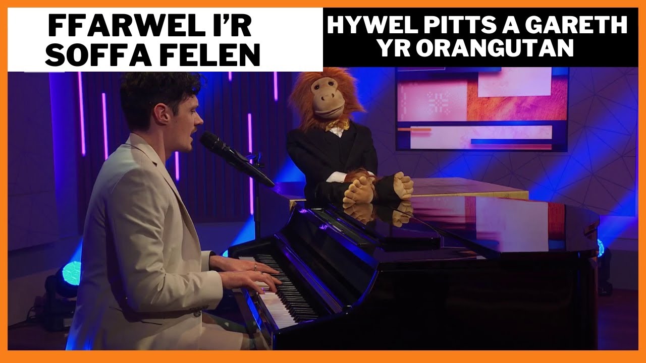 Hywel Pitts a Gareth yr Orangutan - Ffarwel i'r soffa felen