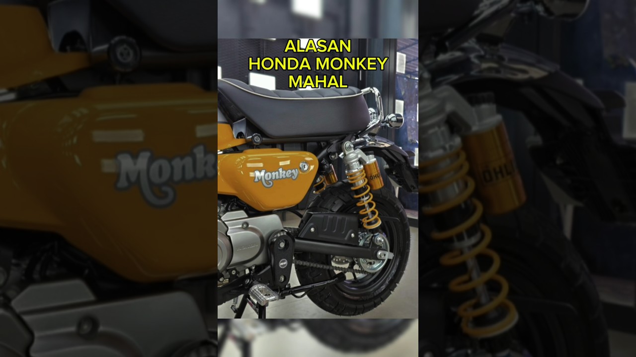 alasan honda monkey mahal#honda #unik#langka #motor #shorts