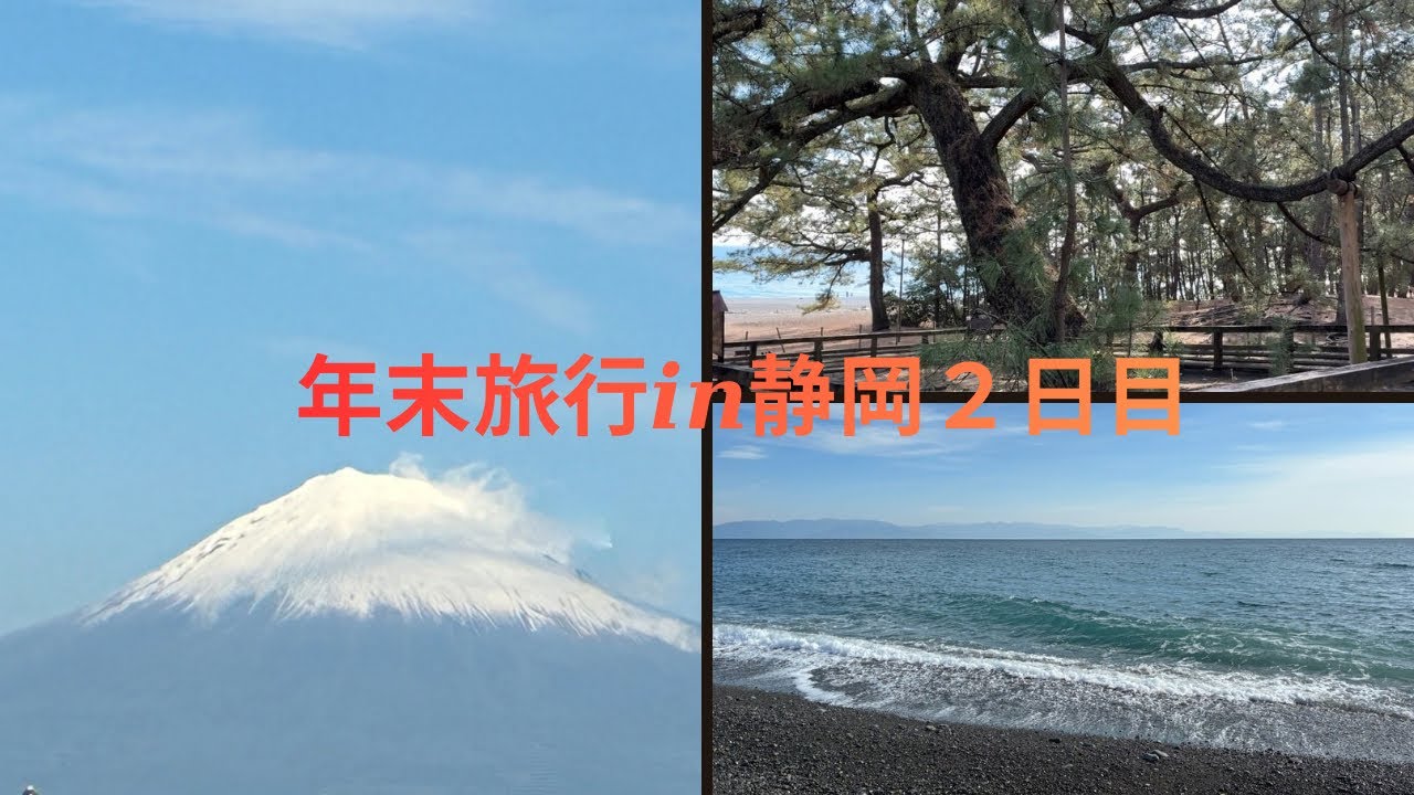 【Vlog】1泊2日の年末旅行in静岡2日目(後編)