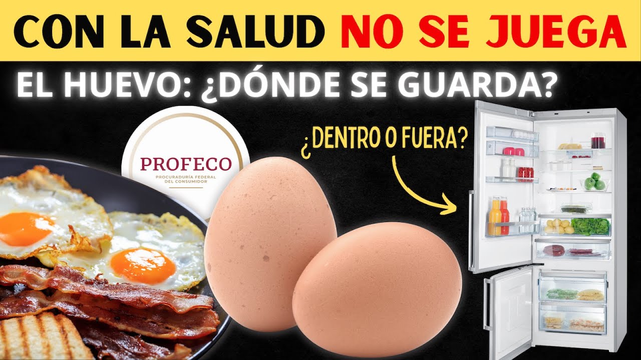 ¿Refrigerador o Alacena? PROFECO Revela la Guía Completa para Conservar Mejor los Huevos