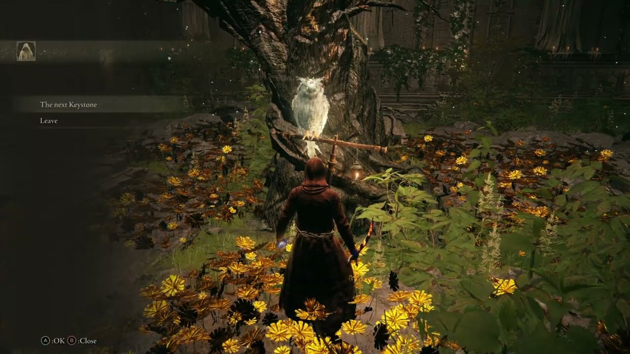 Elden Ring The convergence. (part 1)