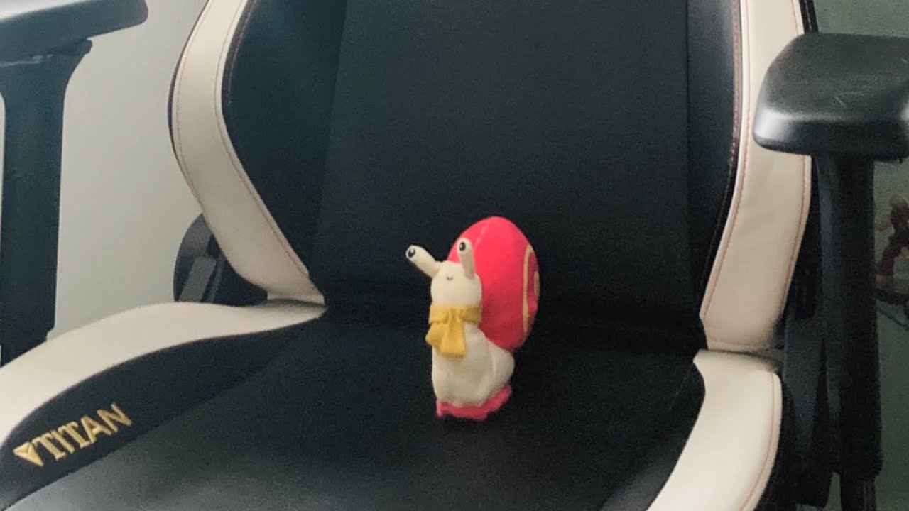 Snebby On A Chair