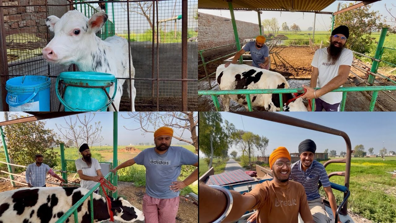 ਅੱਜ ਬਹੁਤ ਗਰਮੀ🥵 ਸੀ // working day // dhillon brothers 