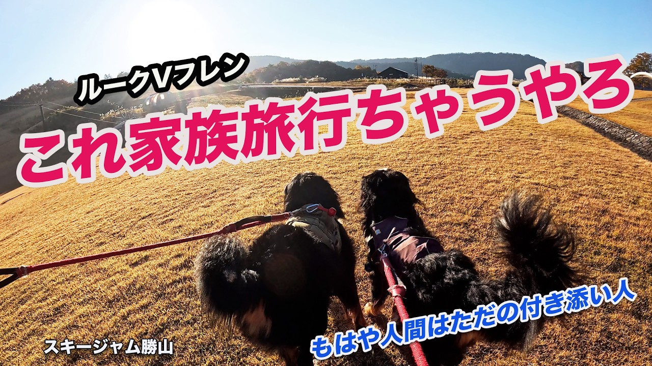 これ家族旅行ちゃうやろ...ルークVSフレン