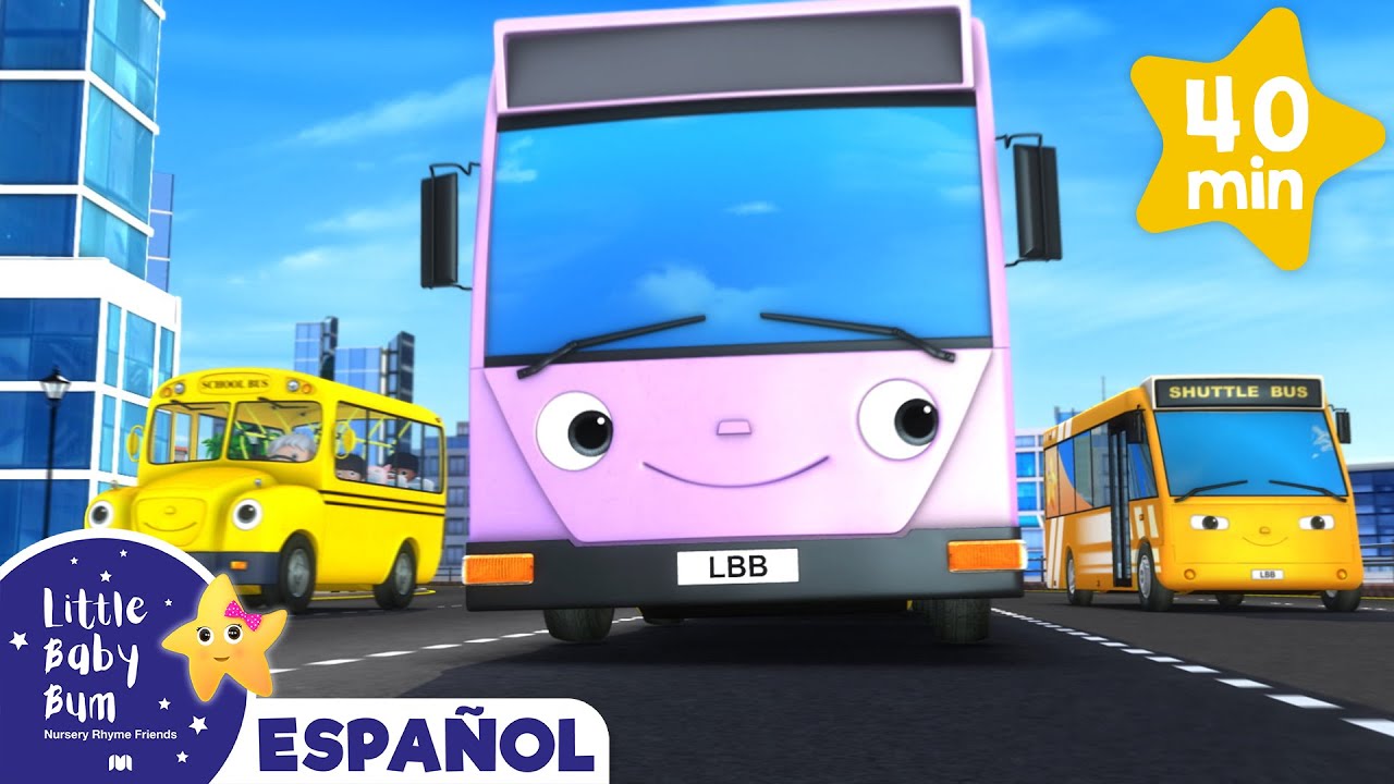 ¿Cuantos autobuses diferentes hay? |🚌 Caricaturas de autobuses 🚌| Canciones infantiles | LBB
