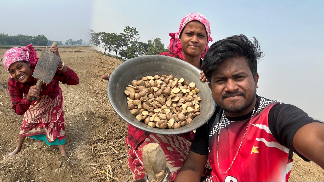 Alu Rohoi Kedale || Santali vlog video || @ManikTuduOfficial 