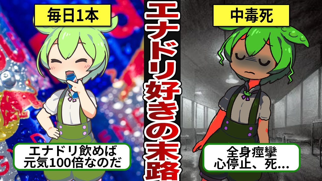 エナドリ好きのヤバすぎる末路...【ずんだもん・ゆっくり解説】