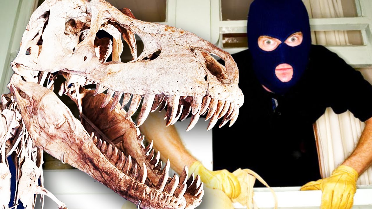 Dinosaur Bone Smuggler Caught!