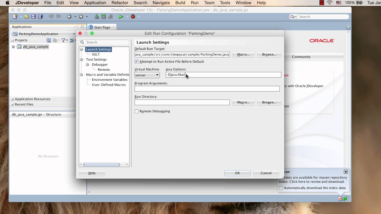 Berkeley DB Java parking lot sample application with JDeveloper