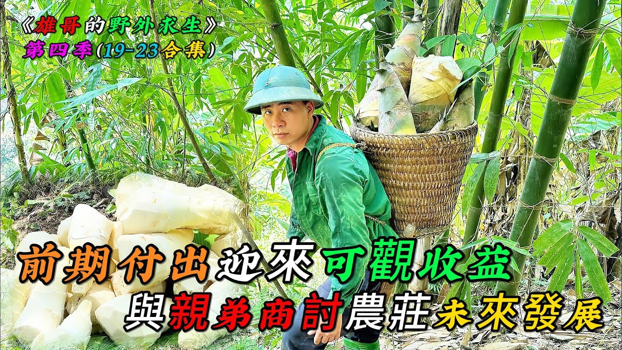 一口氣看完，前期的付出迎來可觀的收益，親弟到來商討農莊未來的發展《雄哥的野外求生》第四季（19-23合集）