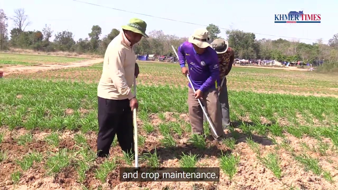 Vegetable farm established to provide nutrition and skills training for refugees