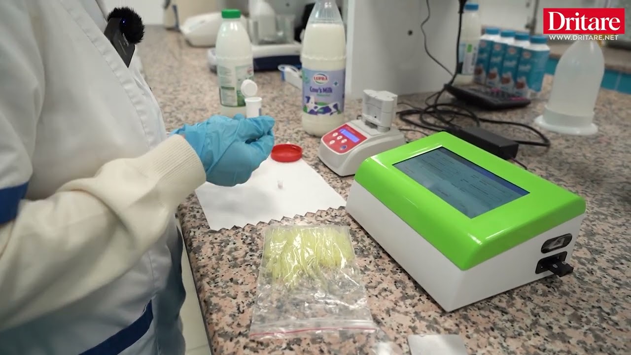 A po pimë qumësht pluhur? E vërteta sipas fermerëve!