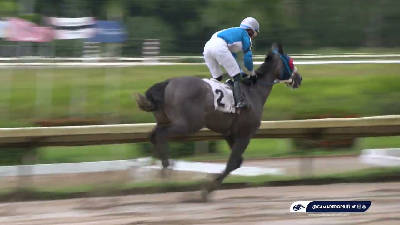 CARRERA 4 - 17/JULIO/2025 (VALIANT KISS)